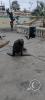 Sea lion at the Malecon near the Muelle de Ilo (6)