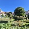 Plaza Mayor (5)