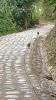 Road leading up to Mirador Cerro la Cruz (4)