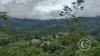 Road leading up to Mirador Cerro la Cruz (5)