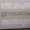 Museum-Tumbas Reales de Sipan (11)