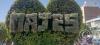 Majes sign in topiary at Calle Zamacola y Calle Vitor