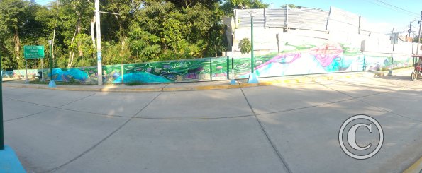 Mural - Jiron Evetamiento Rio Mayo (4)