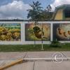 Mural - Jiron Pedro Pascasio Noriega near Jiron Jesus Alberto Miranda Calle (2)