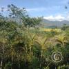 View from Mirador Tahuishco