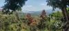 View of the valley to the north of Moyobamba from Tahuishco viewpoint