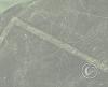 whale-nasca-lines