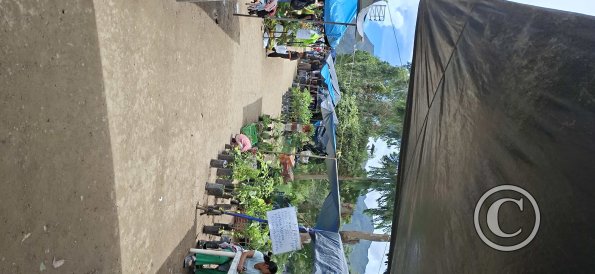 Jiron Malecon Tsachopen Saturday Market (6)