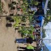 Jiron Malecon Tsachopen Saturday Market (7)