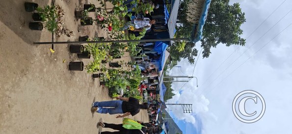 Jiron Malecon Tsachopen Saturday Market (7)