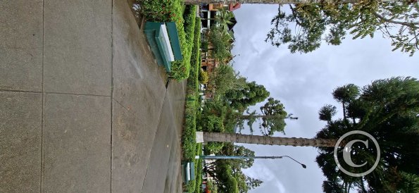 Plaza de Armas at Jiron Bolognesi and Jiron Bolivar (3)