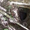 Una Cueva, a cave along the trail of Las Cuevas de Chonta