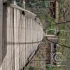Pedestrian bridge (2)