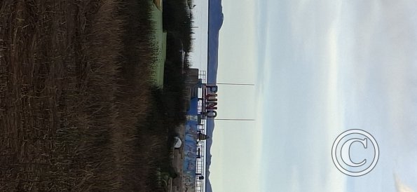 View of the pier at Jiron Luis Banchero Rossi (2)