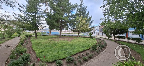 Parque Agricultura at Calle Los Cetaceos and Jiron Los Amarantus (4)