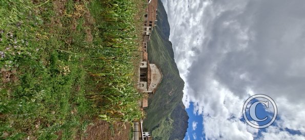 Corn field behind the church