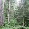 heart-of-the-hills-campground-2_17921596638_o