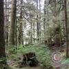 heart-of-the-hills-campground_18109519415_o