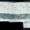 hurricane-ridge-2_17486912654_o