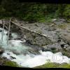 salmon-cascades-on-the-way-to-sol-duc_18106070842_o