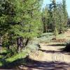 colockum-pass-road4
