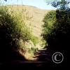 gulch-road2