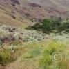 Colockum Pass