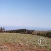 looking-east5