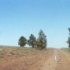 red-rock-meadow2