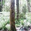 lena-creek-campground-3_18109655895_o