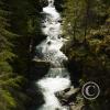 lena-creek-campground-hamma-hamma-river-3_17489121023_o
