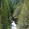 lena-creek-campground-hamma-hamma-river-4-large_22126962449_o