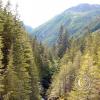 lena-creek-campground-hamma-hamma-river-6-large_21691060204_o