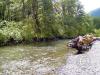 lena-creek-campground-hamma-hamma-river_17487104864_o