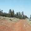 colockum-pass-road5_17487281803_o