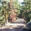colockum-pass-road_17921568699_o