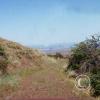 looking-east2_18109005591_o