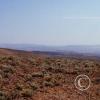 looking-east_17920285730_o