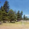 meadow_17485449894_o