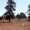 red-rock-meadow_18109112051_o