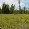 brewton-road---east-end-entering-forest_18108220935_o