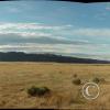 west-bar---4_17920652060_o
