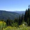 pic00035