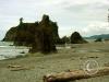 ruby beach looking north