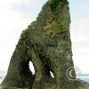 ruby beach rock