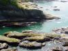 cape flattery south 4