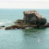 cape flattery southwest 1
