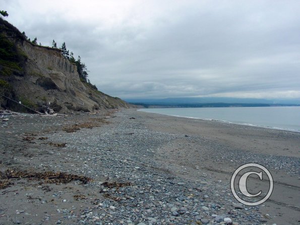 dungeness spit 4 looking west 