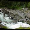 salmon cascades on the way to sol duc