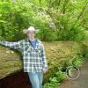 hoh rain forest - chip standing next to 200ft long log